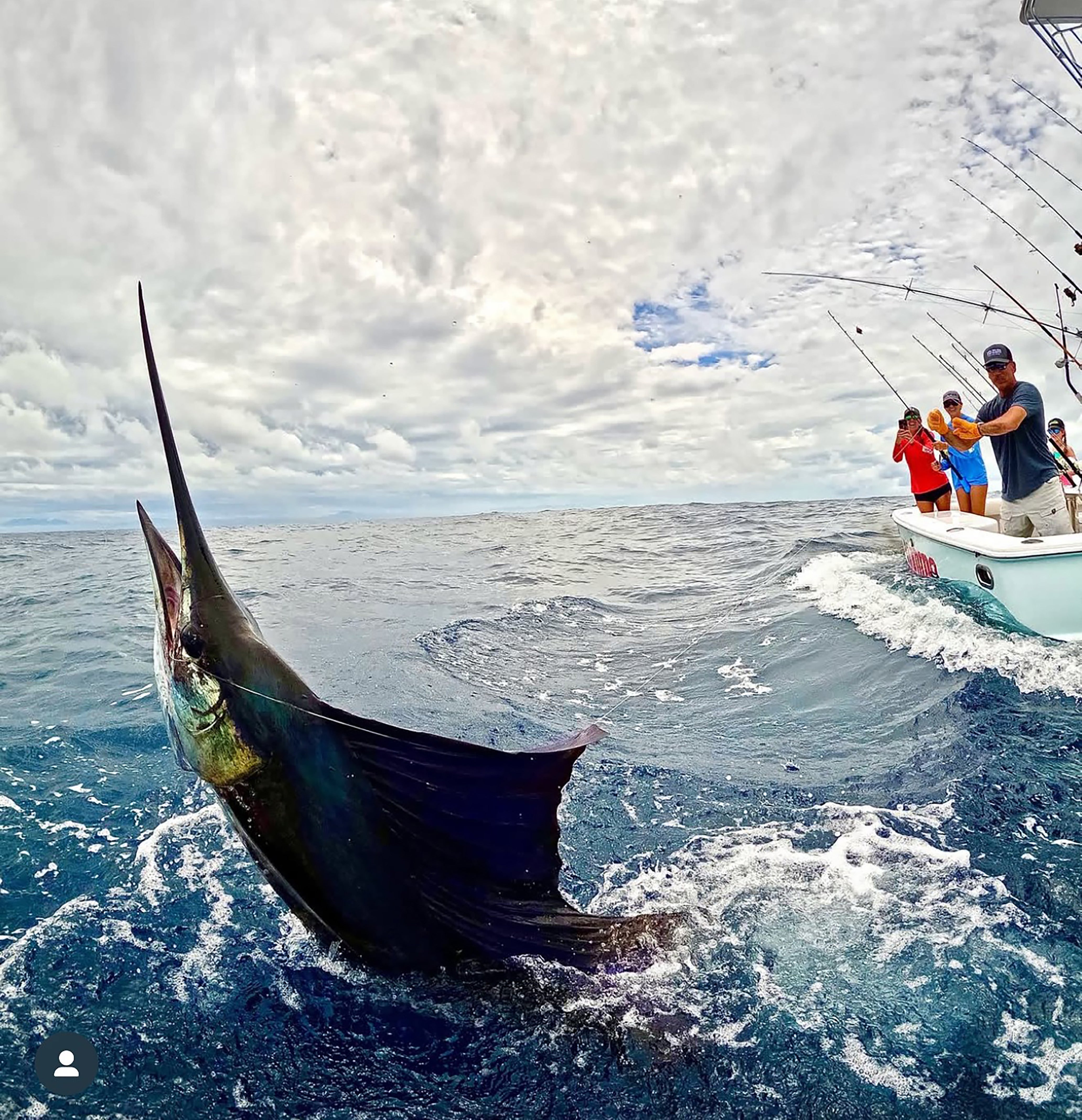 hook and tackle blog